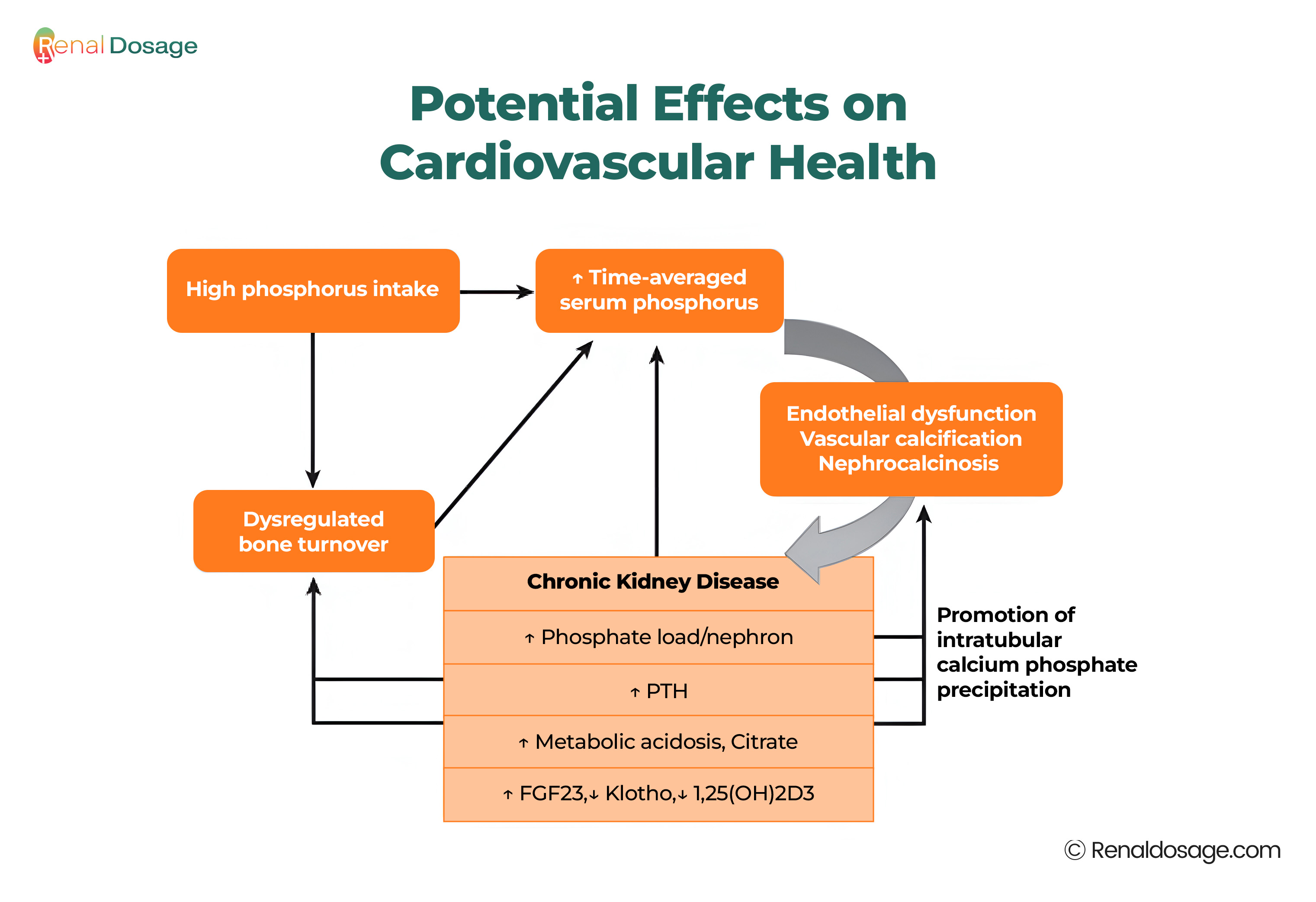 Health Risks for Individuals with Chronic Kidney Disease